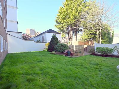 Picture 11